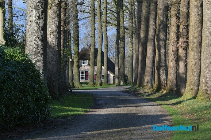 Prima wandelweer tijdens de Marie Kievitsbosch wandeltocht - Foto: Johan Bokma