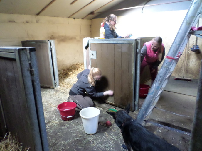 Wie helpt mee met NL doet - Foto: Eigen geleverde foto