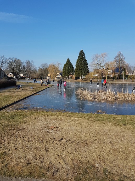 Je ziet ze nu overal schaatsen - Foto: Eigen geleverde foto