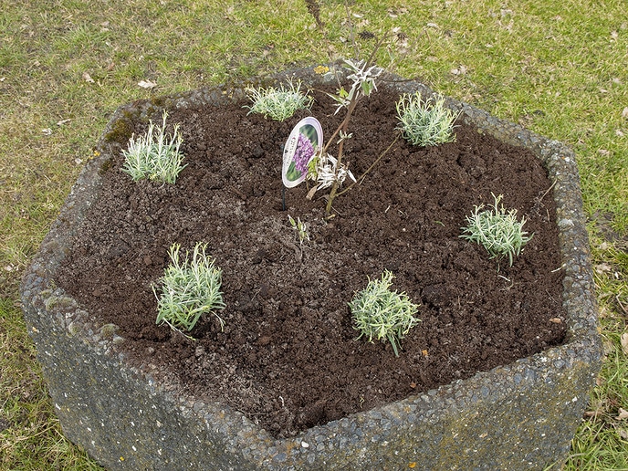 NL-Doet gestart bij Natuurboerderij Lindehoeve - Foto: Eigen geleverde foto