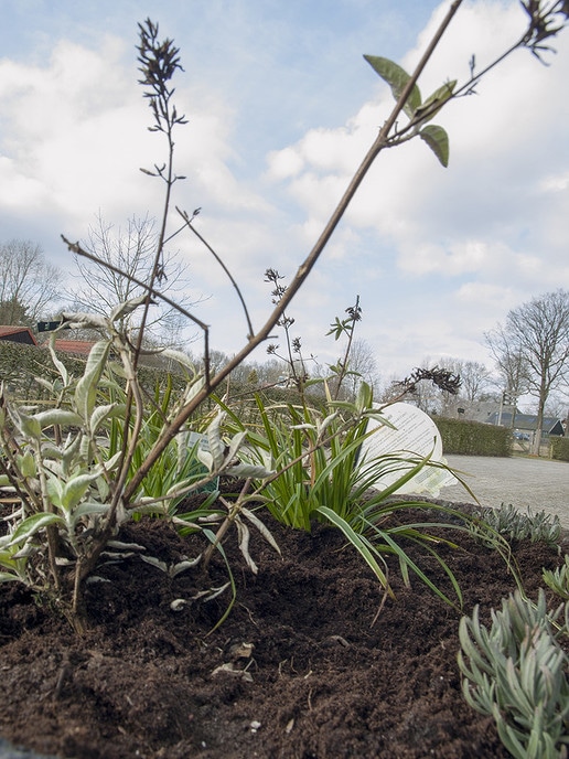 NL-Doet gestart bij Natuurboerderij Lindehoeve - Foto: Eigen geleverde foto