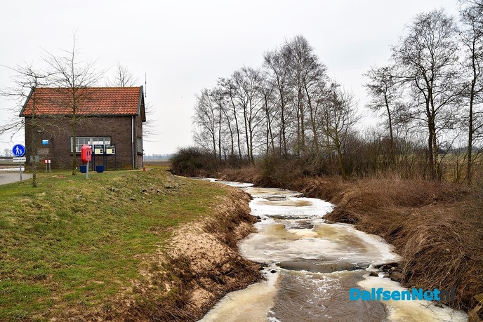 De Vecht en Vechterweerd vanmiddag - Foto: Johan Bokma
