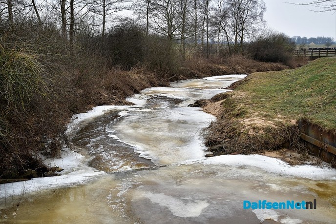 De Vecht en Vechterweerd vanmiddag - Foto: Johan Bokma