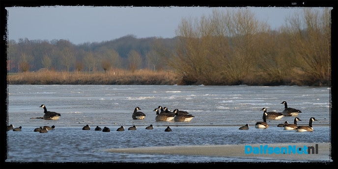 IJs op de Vecht - Foto: Ingezonden foto