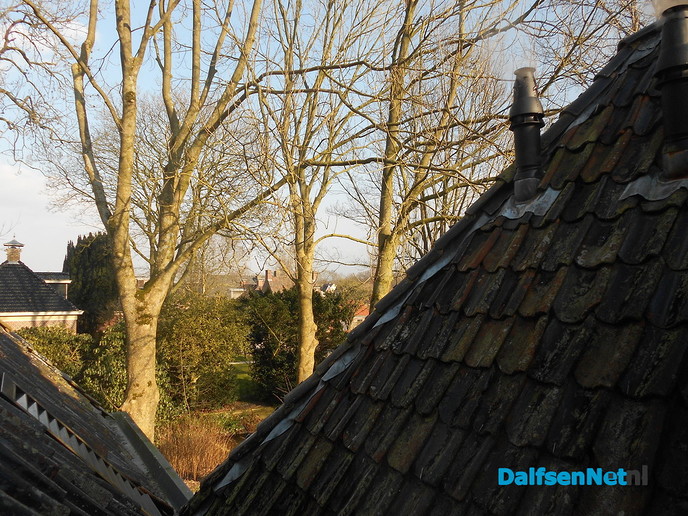 Fantastische ontvangst in Dantumadiel