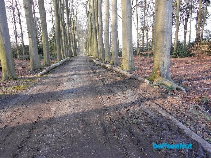 Marswetering en de vistrappetjes