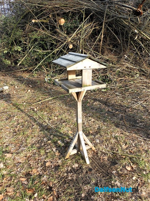 Vogels voeren?