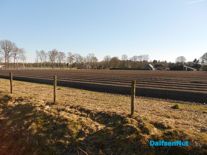 Het “witte goud”in de maak