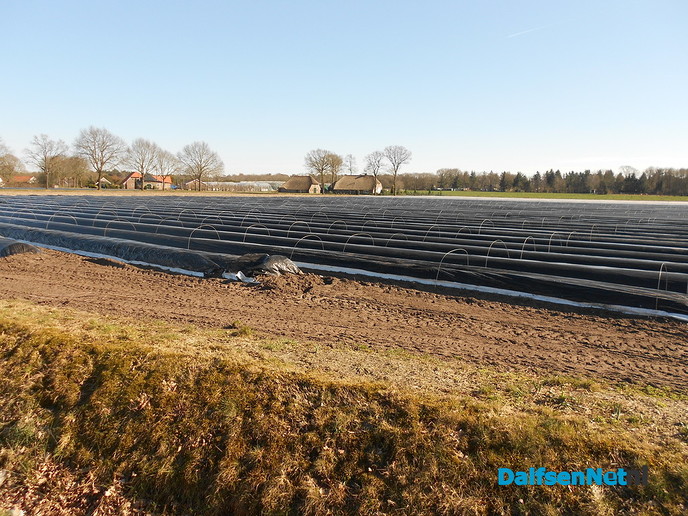 Het “witte goud”in de maak