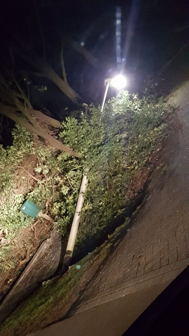 Vernieling 4 lantaarnpalen - Foto: Politie Vechtdal