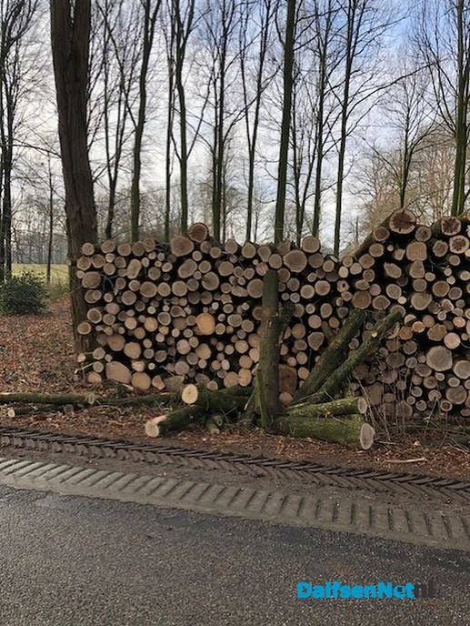 Stammen hout ontvreemd aan Ruitenborghweg - Foto: Ingezonden foto