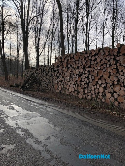 Stammen hout ontvreemd aan Ruitenborghweg - Foto: Ingezonden foto
