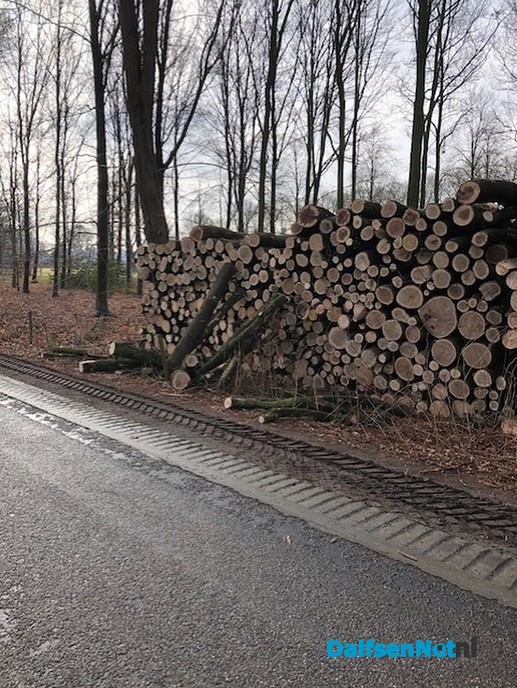 Stammen hout ontvreemd aan Ruitenborghweg - Foto: Ingezonden foto