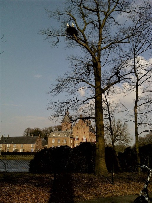 Kiek eens hoe mooi (Dialect) - Foto: Eigen geleverde foto