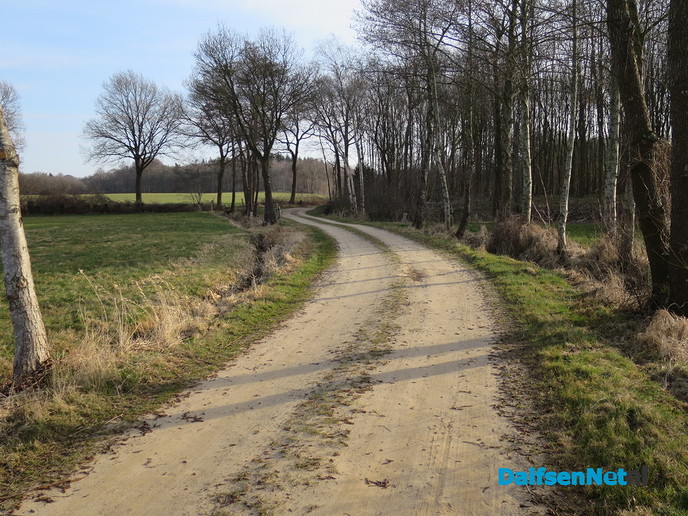 Die oostenwind maakt het ijzig koud - Foto: Wim
