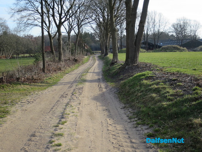 Die oostenwind maakt het ijzig koud - Foto: Wim