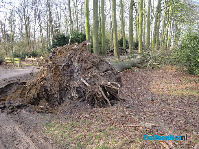 Die oostenwind maakt het ijzig koud - Foto: Wim