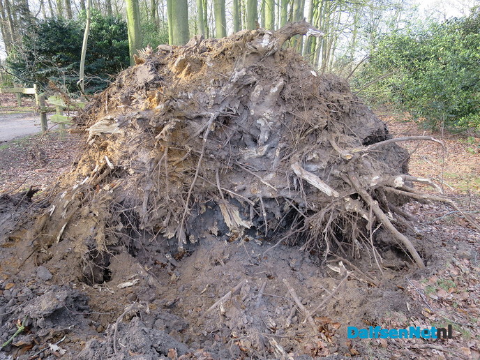 Die oostenwind maakt het ijzig koud - Foto: Wim