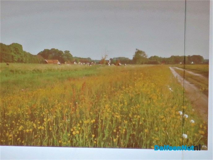 Vincent en Ans strijden voor bijen en vlinders - Foto: Wim