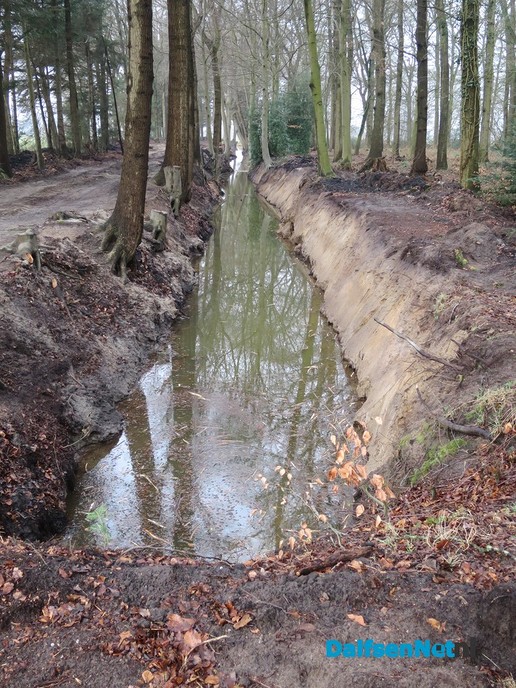 Op veel plaatsen tegelijk aan het werk bij de Marswetering - Foto: Wim