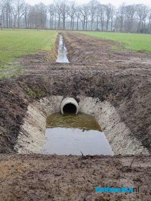 Op veel plaatsen tegelijk aan het werk bij de Marswetering - Foto: Wim