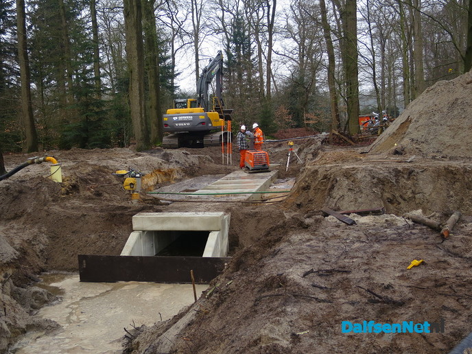 Op veel plaatsen tegelijk aan het werk bij de Marswetering - Foto: Wim
