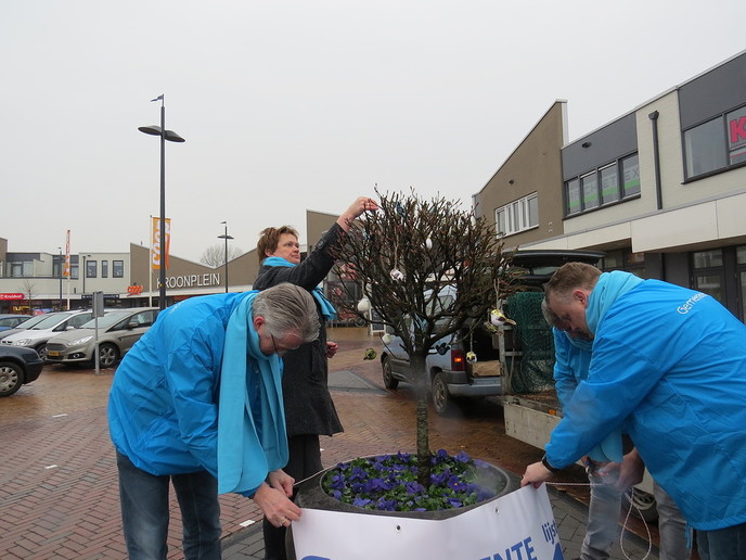 Gemeentebelangen fleurt Kroonplein op - Foto: Eigen geleverde foto