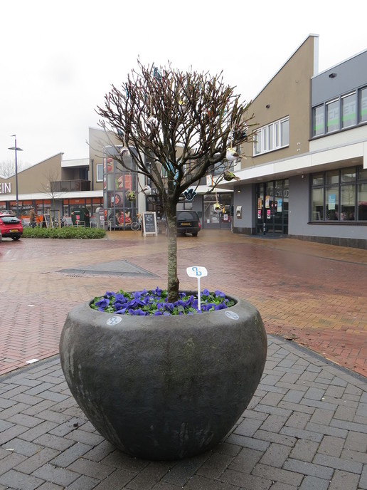 Gemeentebelangen fleurt Kroonplein op - Foto: Eigen geleverde foto
