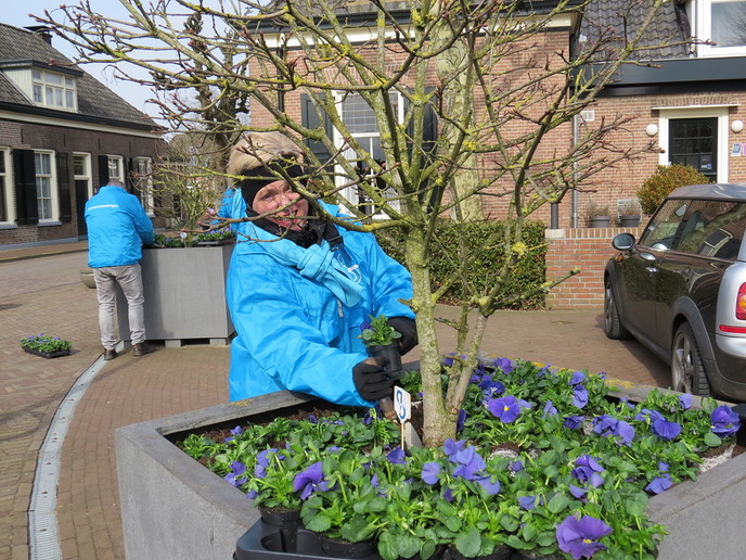 Bloemetjes buiten zetten: lente! - Foto: Eigen geleverde foto