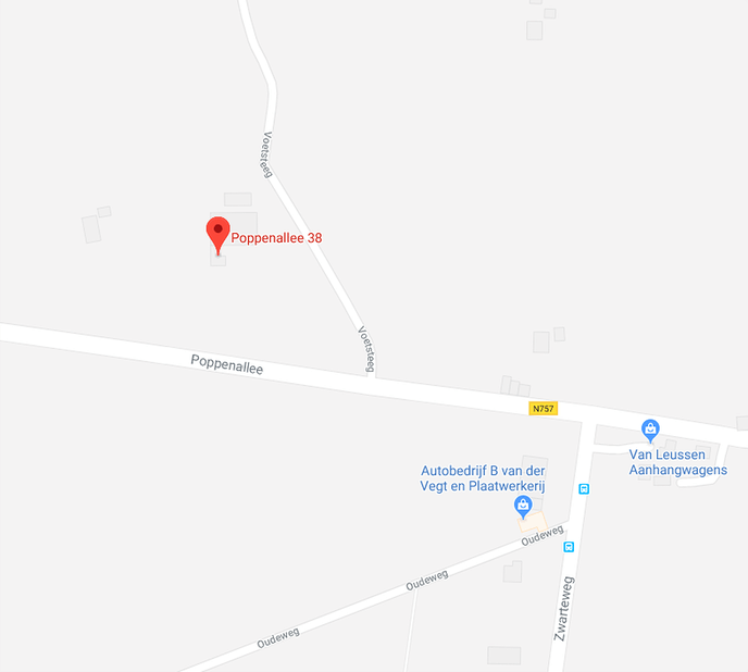 Wolf in Dalfsen?