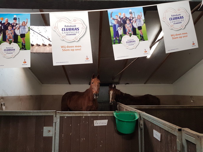 Clubactie: stem op `t Olde Manegepeerd - Foto: Eigen geleverde foto