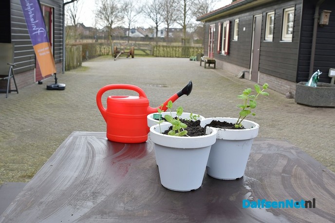 Buitenklussen bij Stichting Natuurboerderij Dalfsen, NL Doet - Foto: Johan Bokma