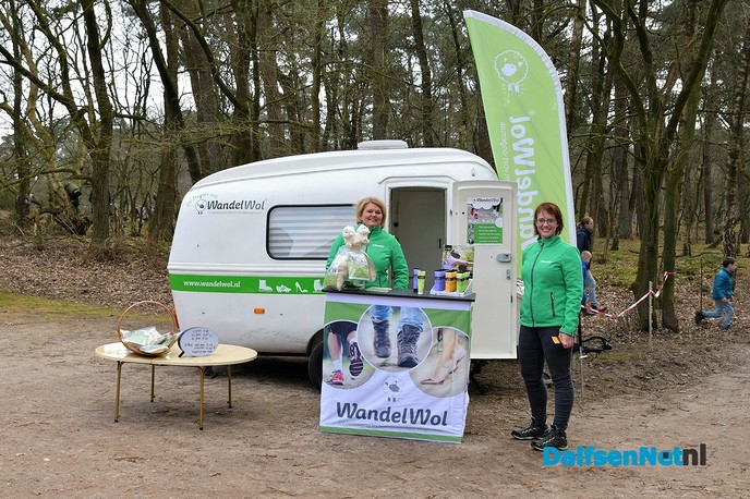 Lammetjesdag bij de schaapskooi lemelerberg. - Foto: Johan Bokma