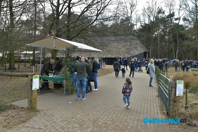 Lammetjesdag bij de schaapskooi lemelerberg. - Foto: Johan Bokma