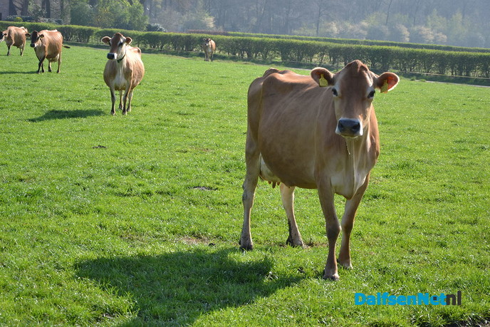 Tap nu uw eigen duurzame boerderijmelk bij Henk en Geke - Foto: Ingezonden foto