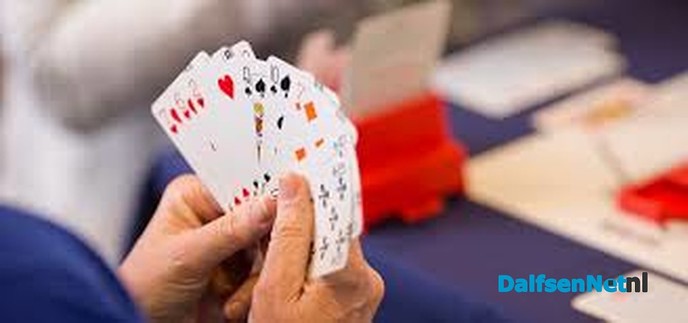 Recreatief Bridgen bij Saam Welzijn - Foto: Ingezonden foto
