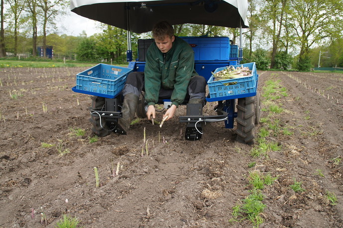 Nieuwe elektrische oogstmachine asperges - Foto: Eigen geleverde foto