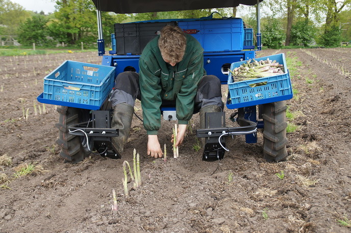 Nieuwe elektrische oogstmachine asperges - Foto: Eigen geleverde foto