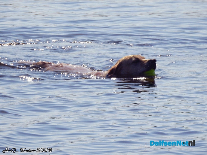 Volop recreatie in en aan de Vecht. - Foto: H.G. Foto