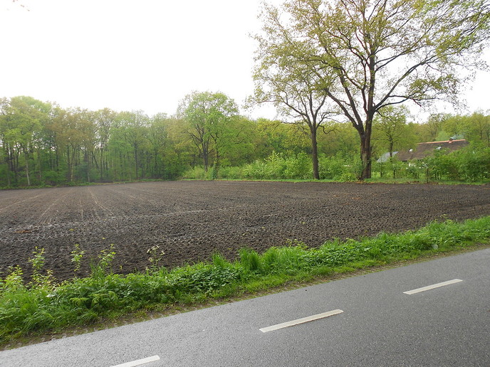 Natuur verandert met de dag