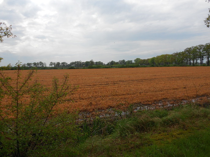 Natuur verandert met de dag