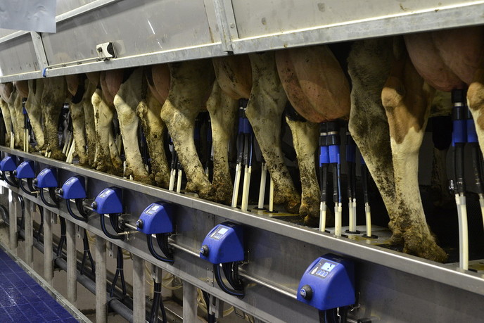 Open dag in Dalfsen met bijzonder melksysteem - Foto: Eigen geleverde foto