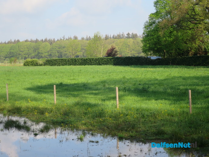 Mooi Hoonhorst aan het water - Foto: Wim