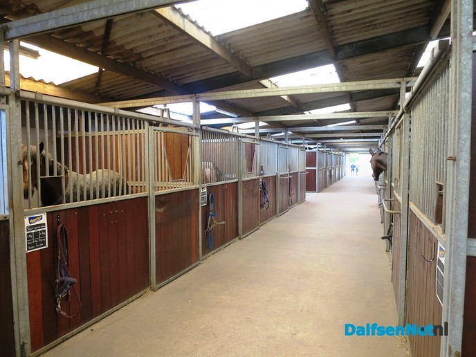 Opendag MB Stables van Familie Blankvoort - Foto: Wim