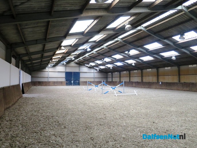 Opendag MB Stables van Familie Blankvoort - Foto: Wim