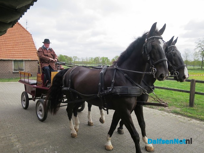 Opendag MB Stables van Familie Blankvoort - Foto: Wim