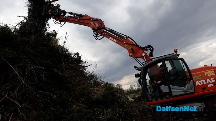 Paasbult Ankum heeft hoogste punt bereikt - Foto: Ingezonden foto