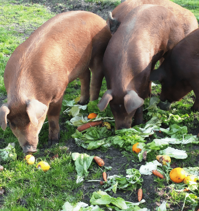 Eet elke dag genoeg groente en fruit - Foto: Eigen geleverde foto
