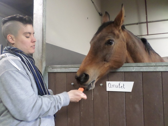 Je kan weer paarden knuffelen, tevens is er rommelmarkt - Foto: Eigen geleverde foto