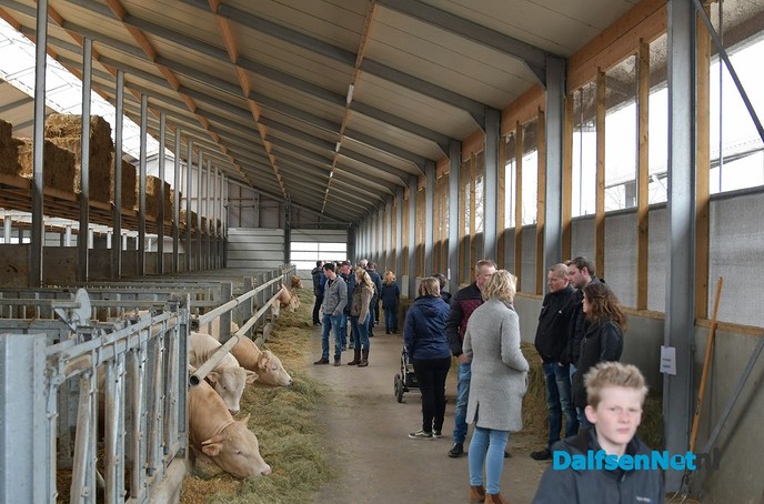 Blonde ďAquitaine opendag - Foto: Johan Bokma